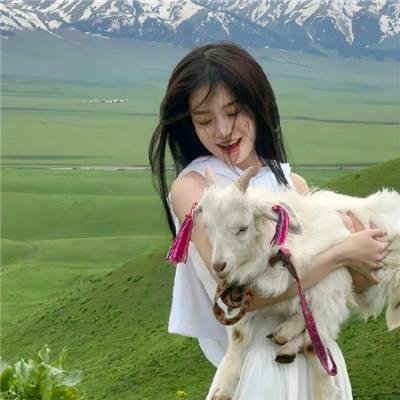 命悬800公里 海报